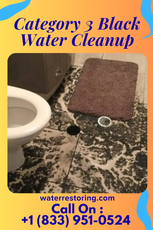 Category 3 Black Water Cleanup in Osceola, NE